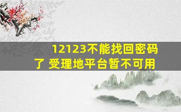 12123不能找回密码了 受理地平台暂不可用